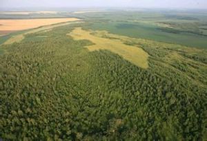 膠北低山丘陵區 膠北低山丘陵區