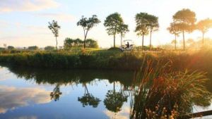 悅達射陽島高爾夫 悅達射陽島高爾夫