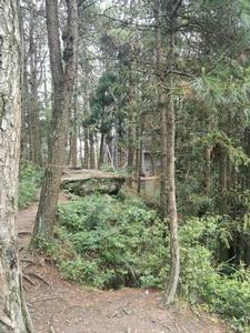 四川天馬山國家森林公園