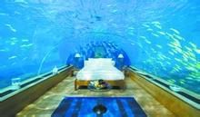 海底洞房 海底洞房