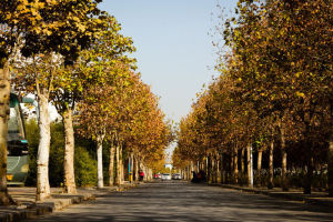 鄭州航空工業管理學院