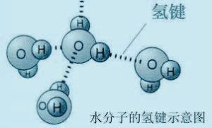 分子電性圖