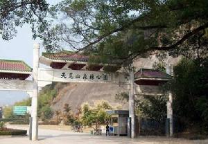 四川天馬山國家森林公園