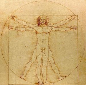 《維特魯威人》 《維特魯威人》