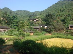 那控自然村 那控自然村