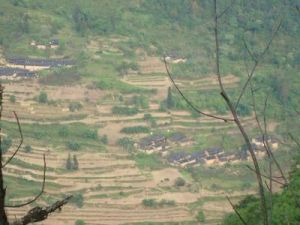 毛草地村 毛草地村