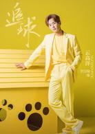 追球[2018年蘇浩旗執導電視劇]