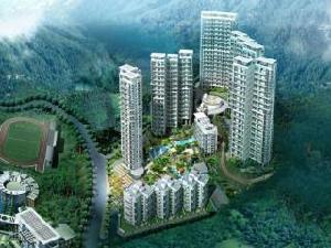 金山碧海 金山碧海