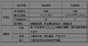 呼吸作用產生ATP的比較