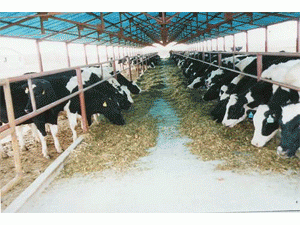 中華人民共和國畜禽遺傳資源進出境和對外合作研究利用審批辦法