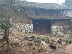 迷達克上村 迷達克上村