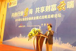 碧雲集團 碧雲集團