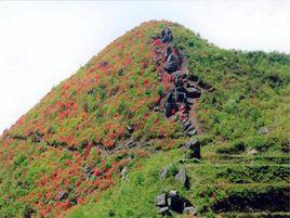 烏石山風景區 烏石山風景區