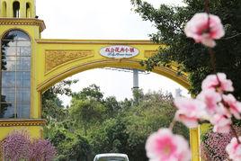 百合花卉小鎮 百合花卉小鎮