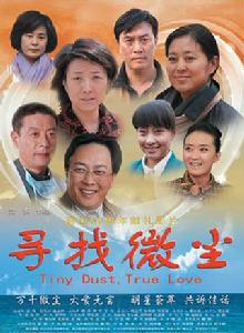 微塵[2009年沈東執導電影]