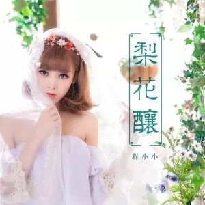 梨花釀[程小小演唱歌曲]