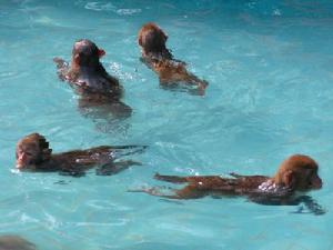 （圖）陵水南灣自然保護區