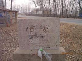 肖家村[雲南省昆明晉寧縣二街鄉肖家村民委員會]