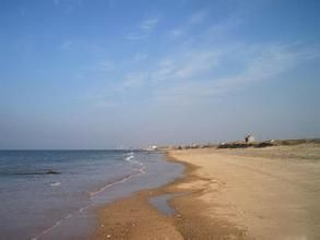 金沙灘海濱公園 金沙灘海濱公園