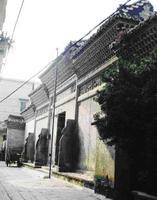 塘頭村[廣東省廣州市番禺區化龍鎮塘頭村]