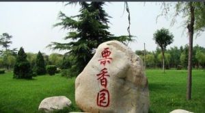 灤縣栗香園 灤縣栗香園