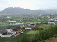 諾西村[雲南省迪慶州香格里拉市建塘鎮下轄村]