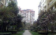 南馨苑小區外景圖