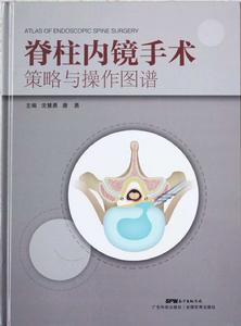 脊柱內鏡手術策略與操作圖譜