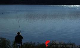 釣魚理論 釣魚理論