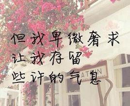 奢求[漢語詞語]