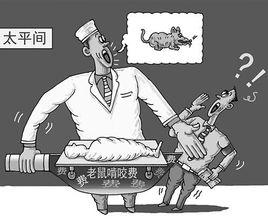 老鼠啃咬費 老鼠啃咬費