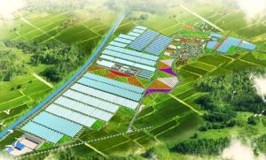 鈣王承德食品有限公司 鈣王承德食品有限公司