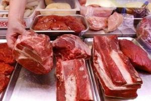 克隆食品 克隆食品