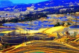 元陽梯田 元陽梯田