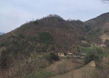 青銅關鎮月西國小