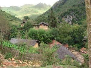 下哈呢伍自然村 下哈呢伍自然村