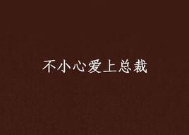 一不小心愛上總裁 一不小心愛上總裁