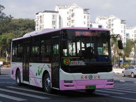 永安公交8路 永安公交8路