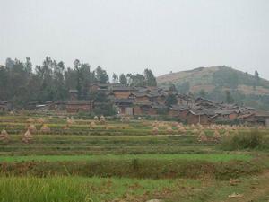 架來得村 架來得村