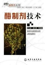 酶技術 酶技術