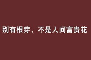 別有根芽,不是人間富貴花 別有根芽,不是人間富貴花