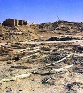 埃皮道拉遺址 埃皮道拉遺址