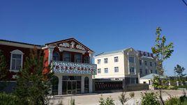 大興安嶺百盛藍莓科技開發有限公司 大興安嶺百盛藍莓科技開發有限公司