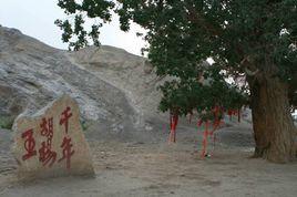 馬蹄山的故事 馬蹄山的故事