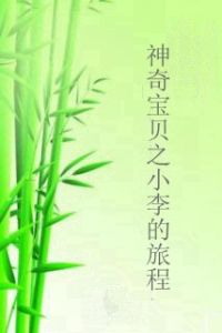 神奇寶貝之小李的旅程