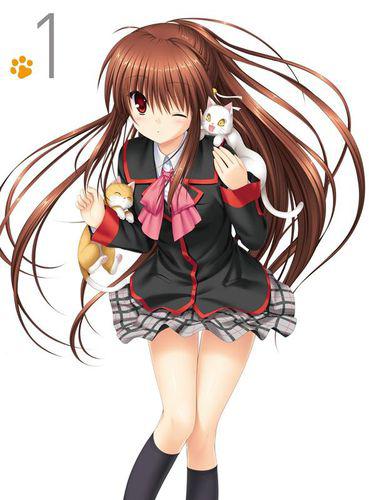 lb[J.C.STAFF製作的動畫]