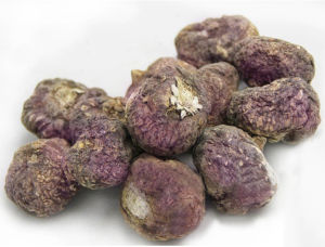 特級進口紫瑪卡