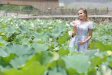 塵封的愛[田七導演歌曲]