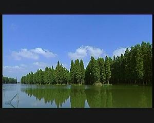 （圖）電視文學