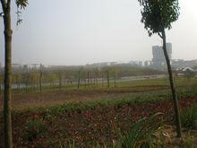 合肥濕地公園